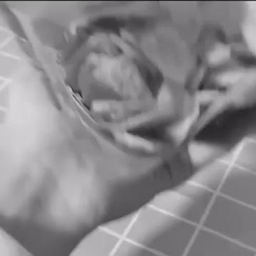 Mini Selladora de Bolsas Portátil